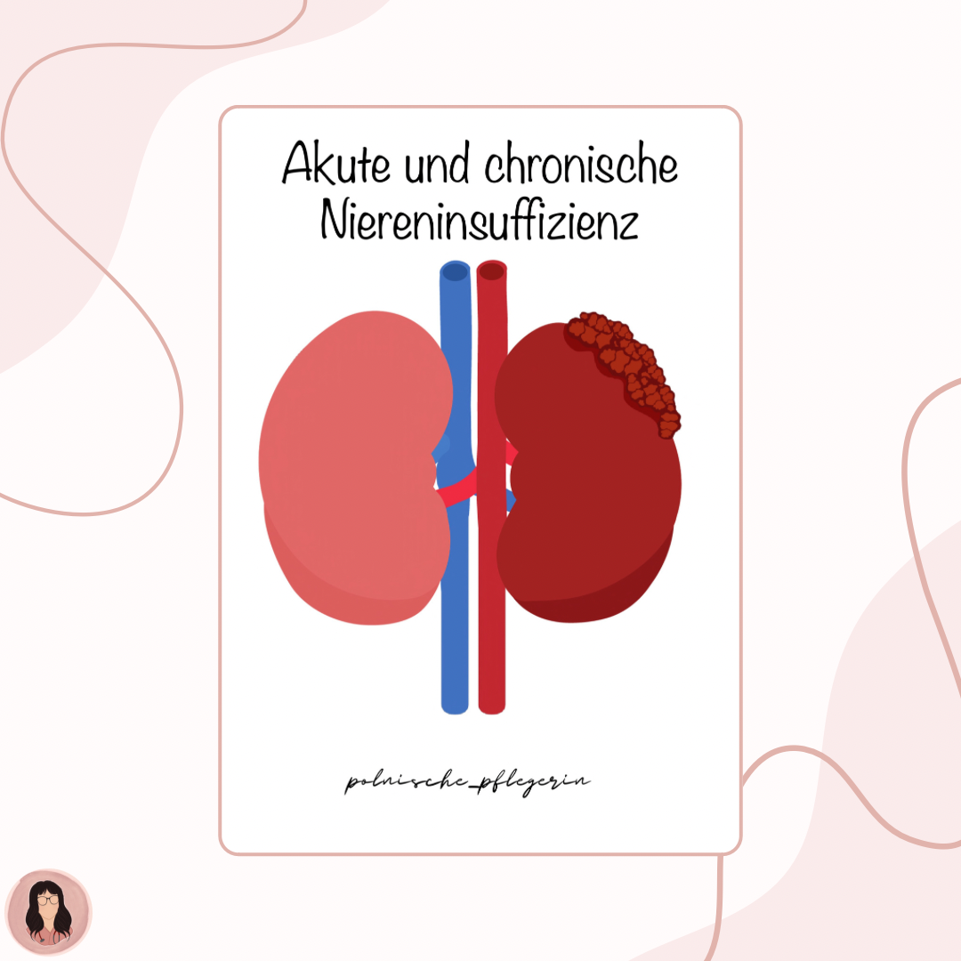 Digitaler Lernzettel - Akute und chronische Niereninsuffizienz
