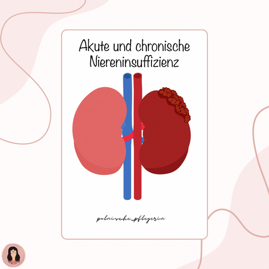 Digitaler Lernzettel - Akute und chronische Niereninsuffizienz