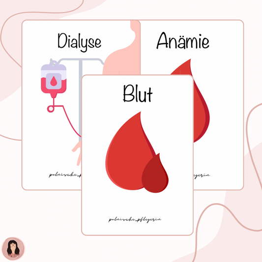 Digitales Bundle - Blut, Anämie und Dialyse