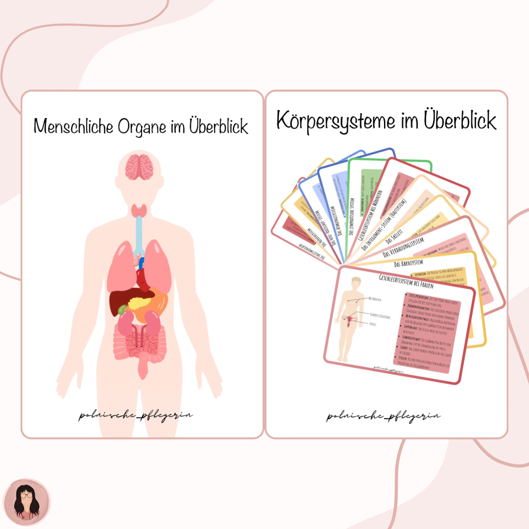 Menschliche Organe (innere und äußere) im Überblick in digitaler Form - 67 Seiten + Körpersysteme im Überblick