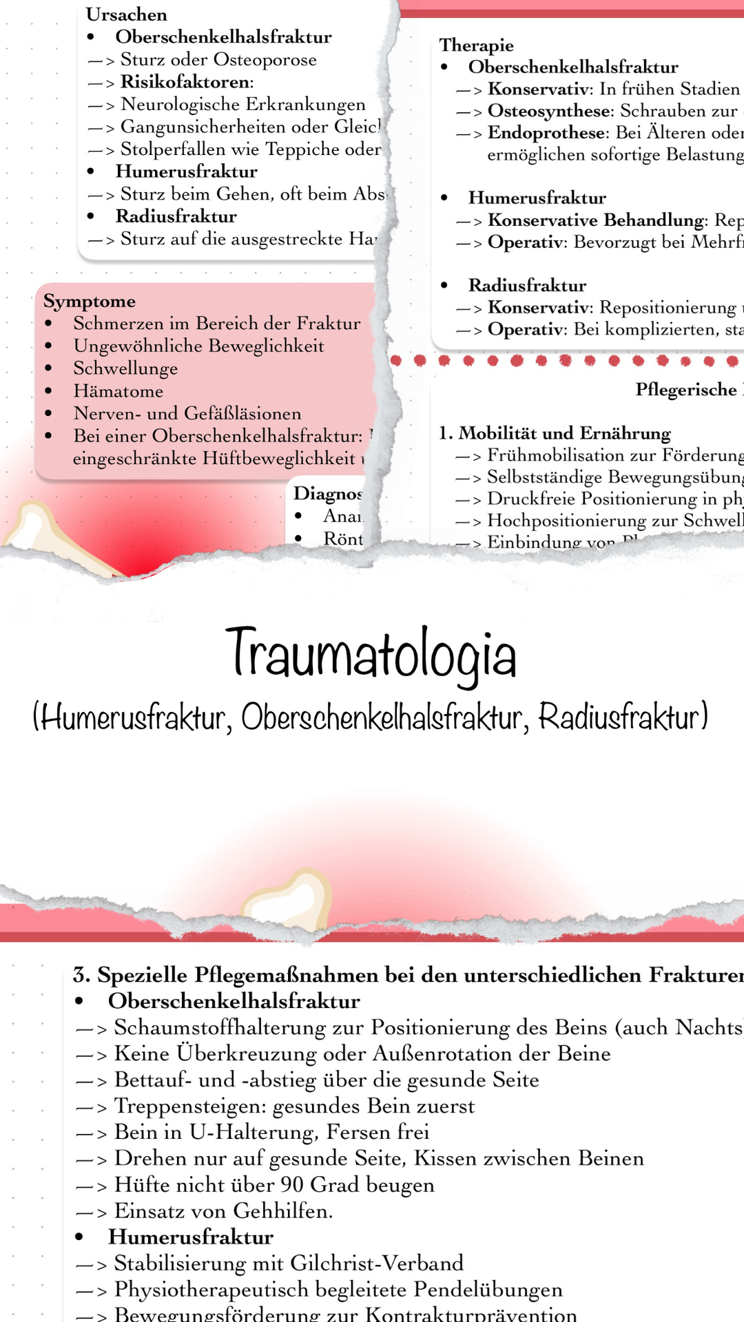 Digitaler Lernzettel -  Traumatologia (Humerusfraktur, Oberschenkelhalsfraktur, Radiusfraktur)