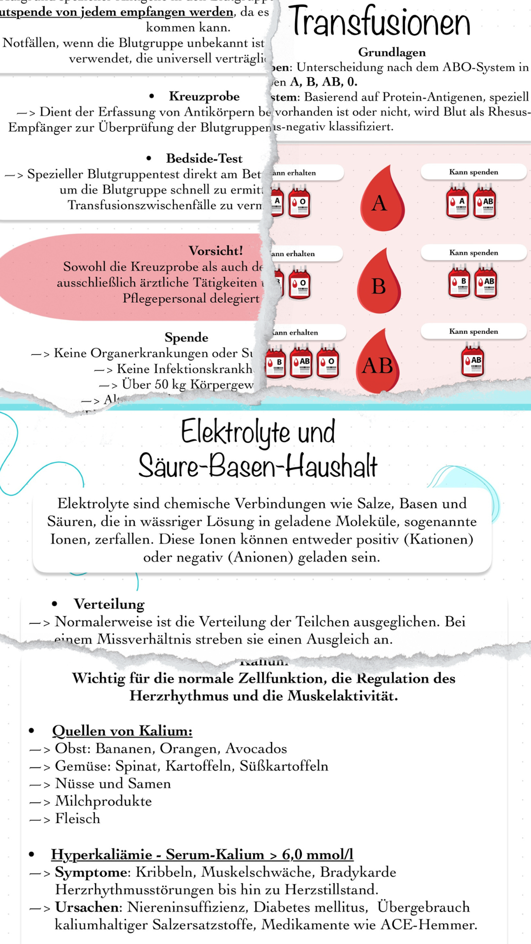 Digitales Bundle - Transfusionen, Elektrolyte und Säure-Basen-Haushalt