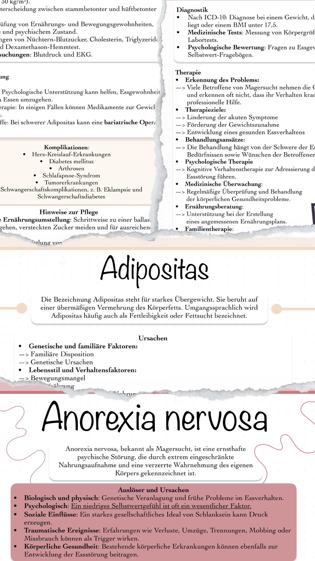 Digitales Bundle - Adipositas und Anorexia nervosa