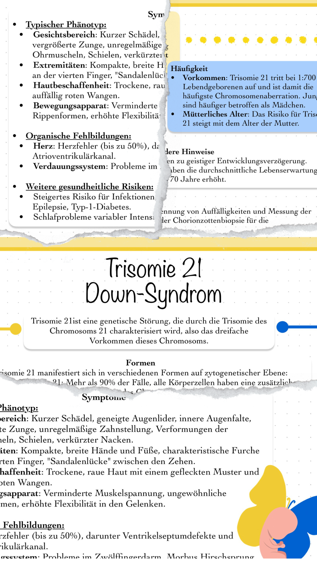 Digitaler Lernzettel - Trisomie 21, Down-Syndrom