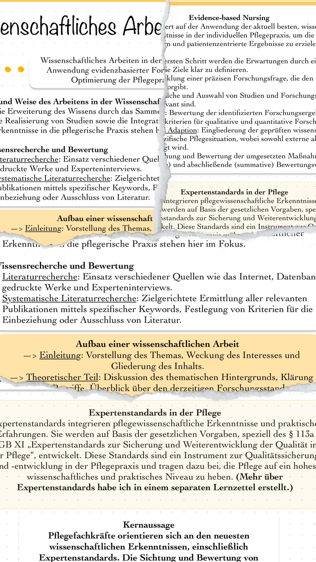 Digitaler Lernzettel - Wissenschaftliches Arbeiten in der Pflege