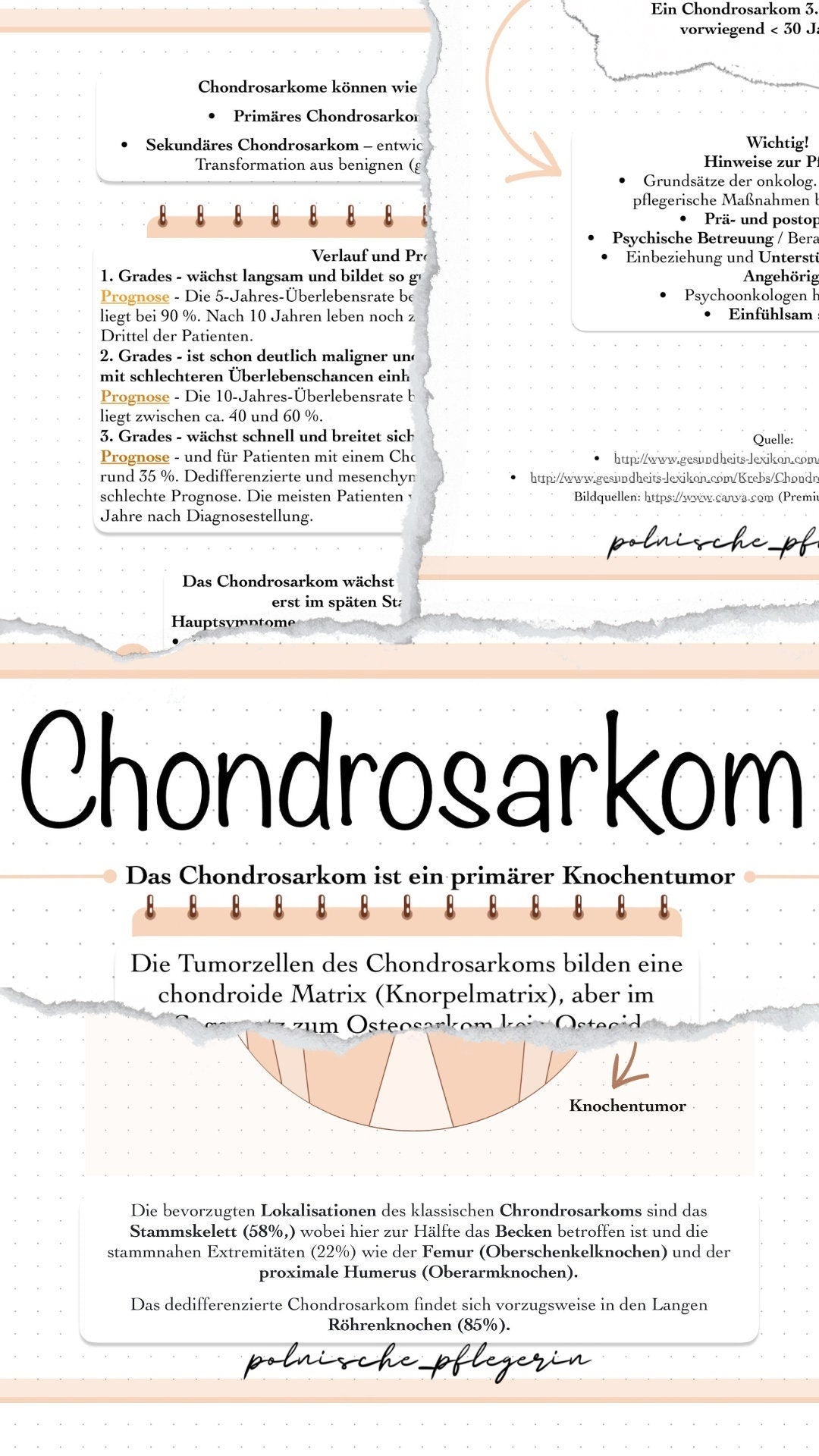 Digitaler Lernzettel - Chondrosarkom und Osteosarkom (Knochentumor)