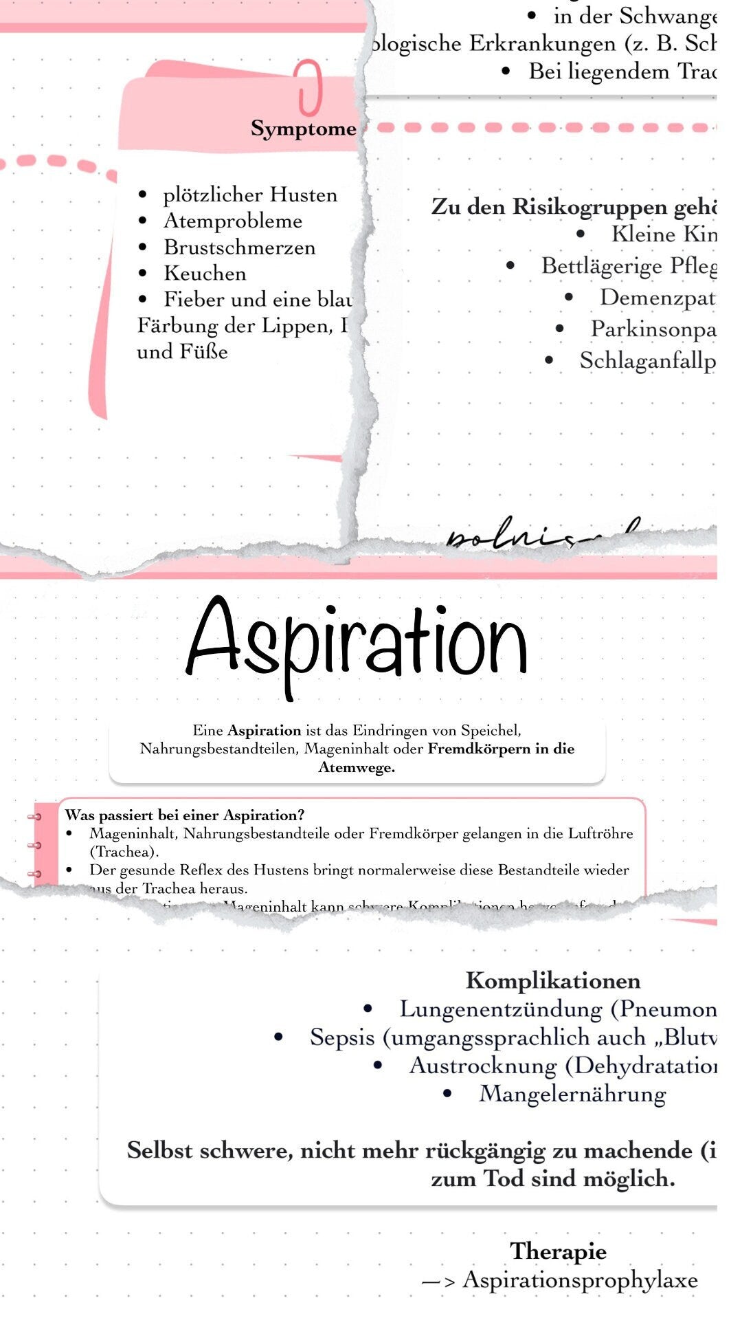 Digitaler Lernzettel - Aspiration