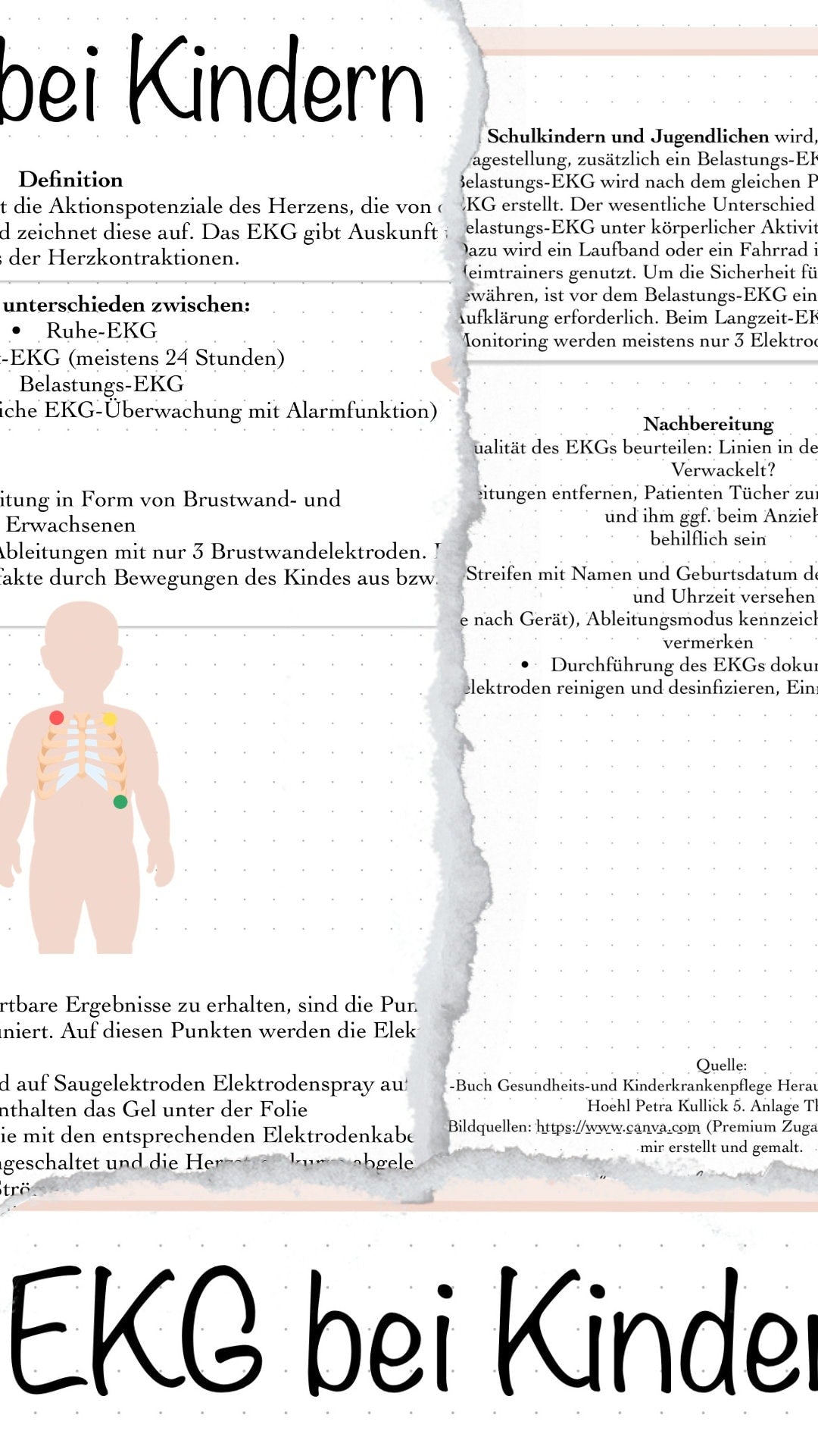 Digitales Bundle - EKG Bei Kindern und allgemeines EKG