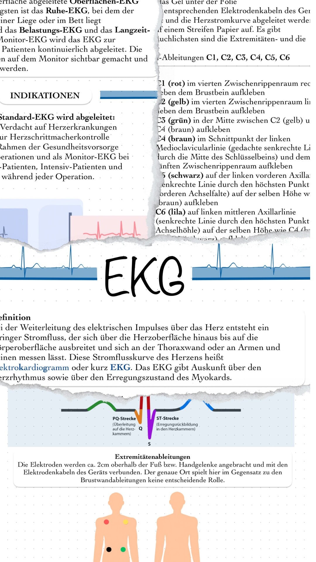 Digitales Bundle - EKG Bei Kindern und allgemeines EKG