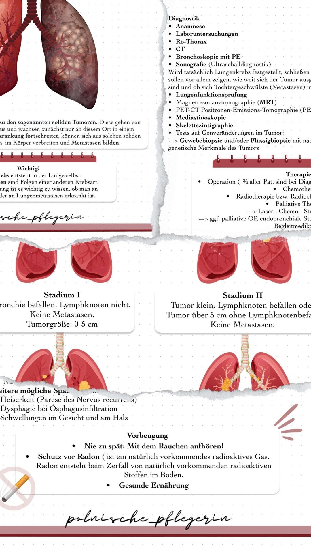 Digitaler Lernzettel - Bronchialkarzinom (Lungenkrebs)