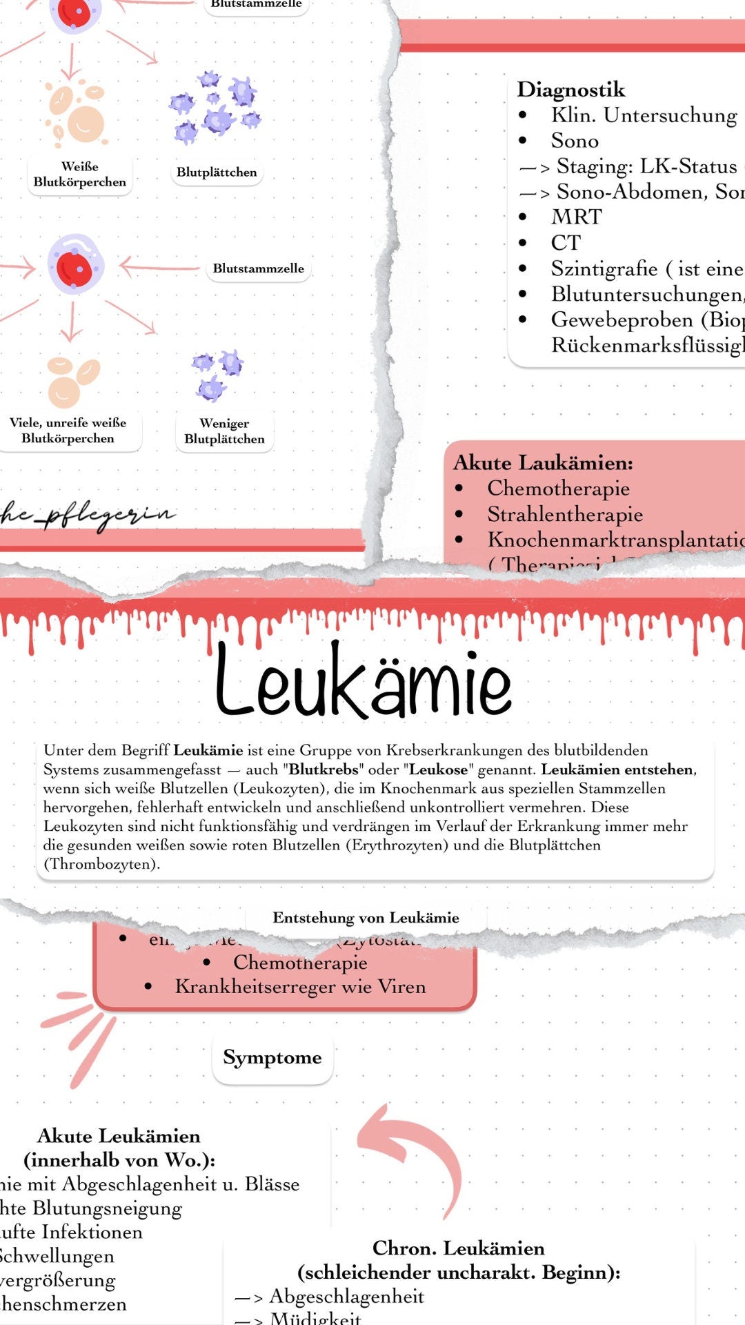 Digitaler Lernzettel - Leukämie (Blutkrebs)