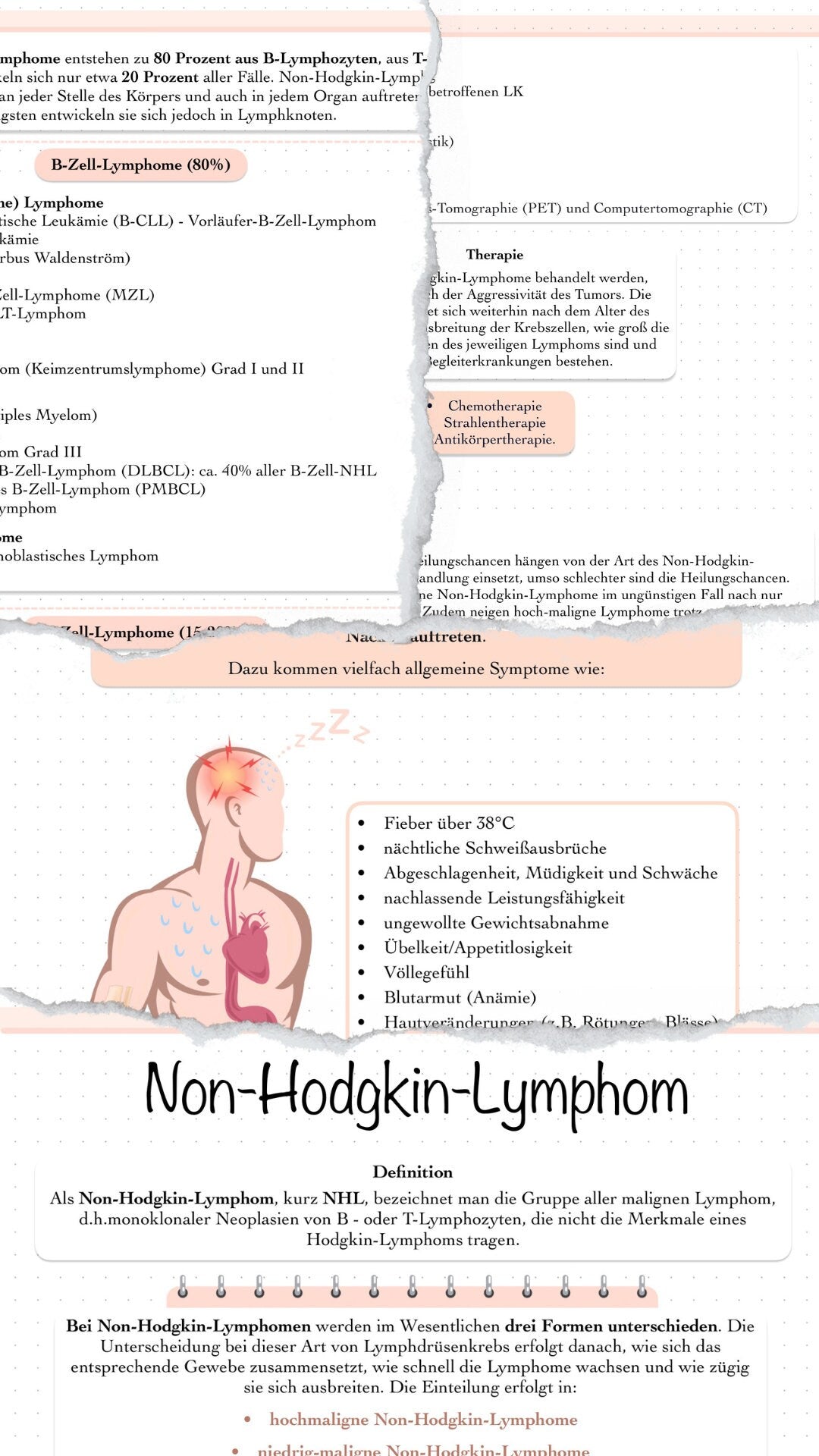 Digitaler Lernzettel - Non-Hodgkin-Lymphom