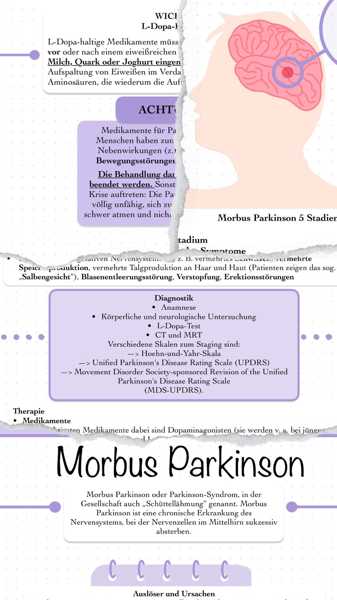 Digitaler Lernzettel - Morbus Parkinson