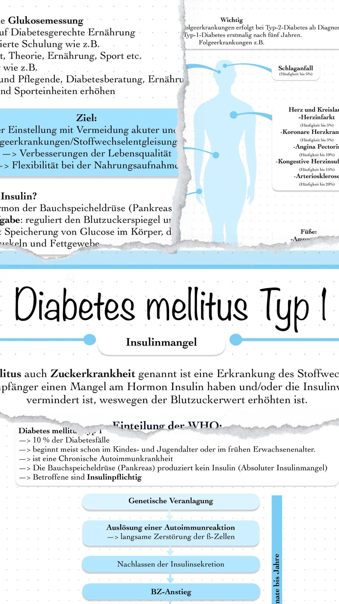 Digitales Bundle   Diabetes mellitus Typ 200 und Typ 20, Diabetes ...