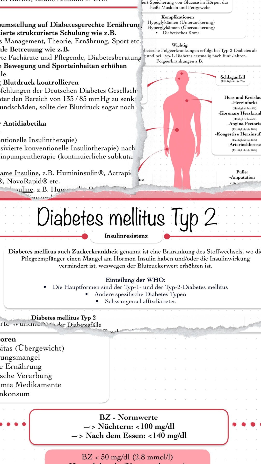 Digitales Bundle   Diabetes mellitus Typ 200 und Typ 20, Diabetes ...