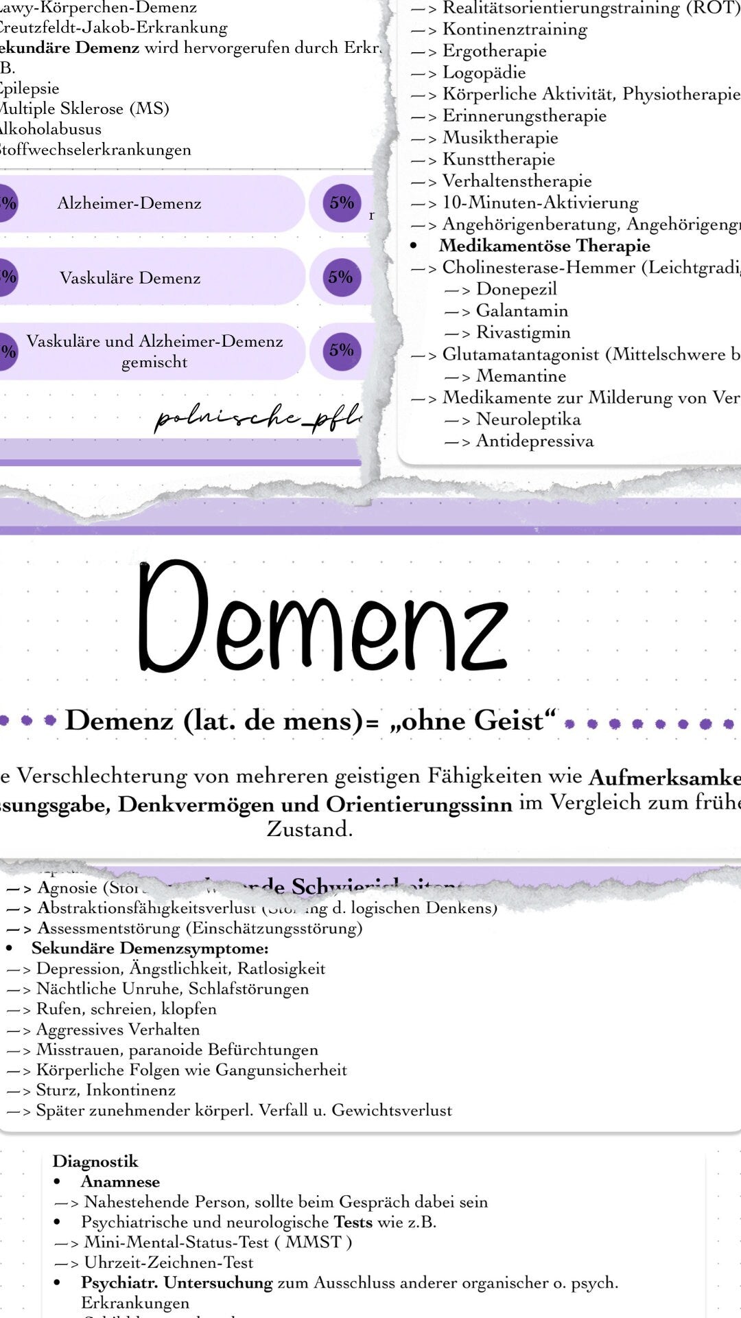 Digitales Bundle - Demenz, Alzheimer, Vaskuläre Demenz und Pflege von Menschen mit Demenz