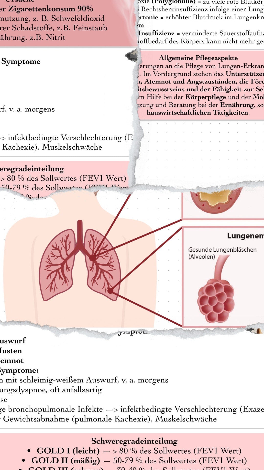 Digitaler Lernzettel - COPD