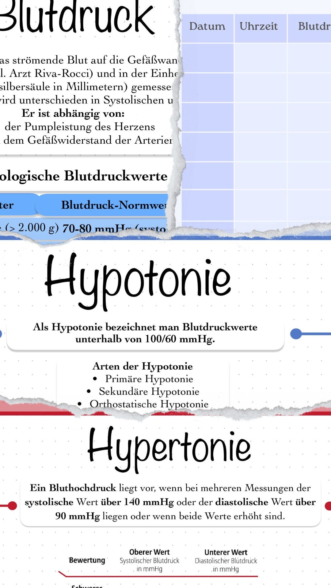 Digitales Bundle - Blutdruck, Puls, Bradykardie, Tachykardie, Hypertonie und Hypotonie.