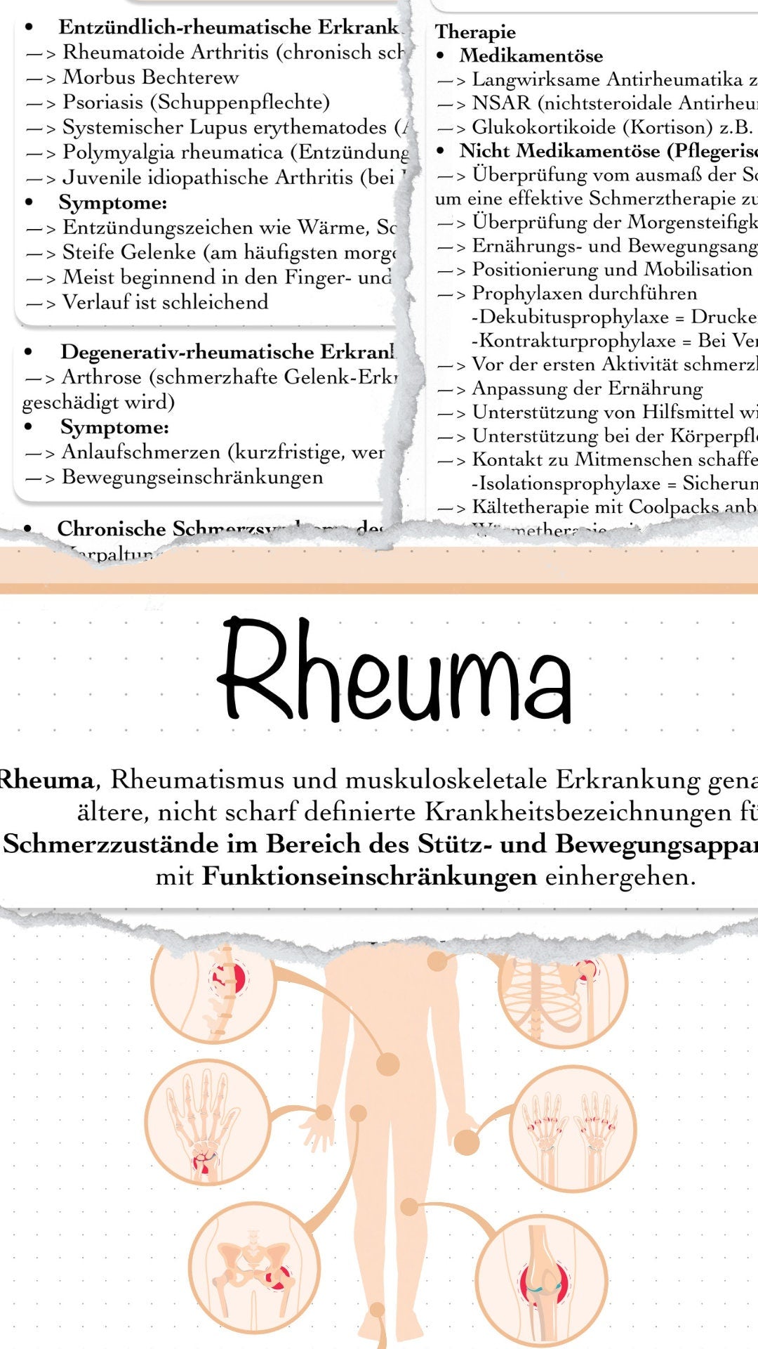 Digitaler Lernzettel - Rheuma