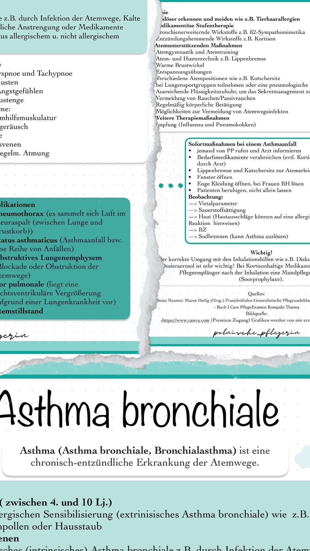 Digitaler Lernzettel - Asthma bronchiale