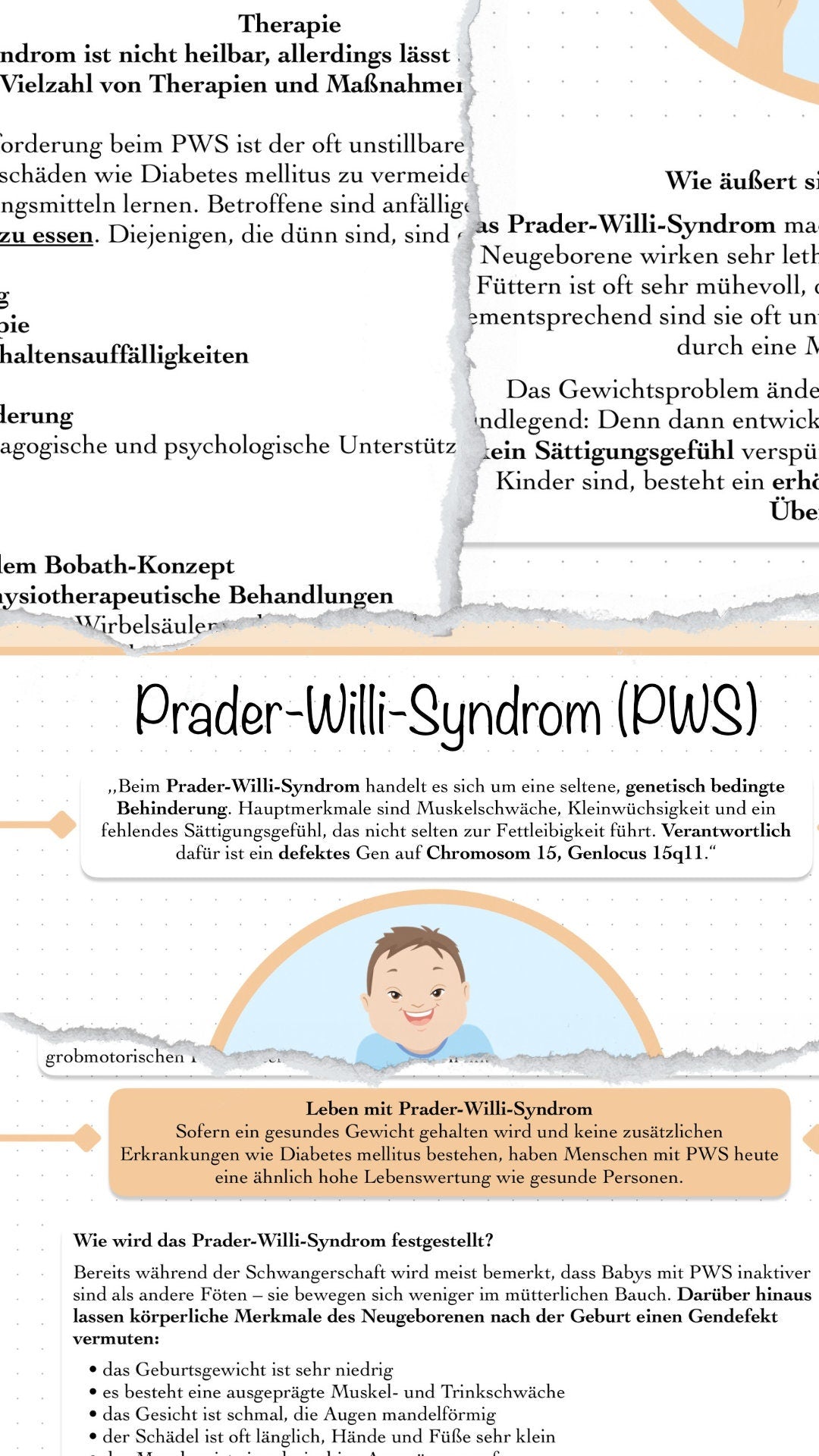 Digitaler Lernzettel - Prader-Willi-Syndrom