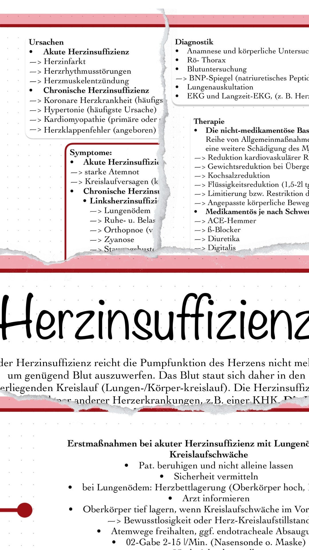 Digitales Bundle - Herz, Herzinfarkt, KHK, Schock, Herzinsuffizienz und Herz-Kreislauf-Stillstand.