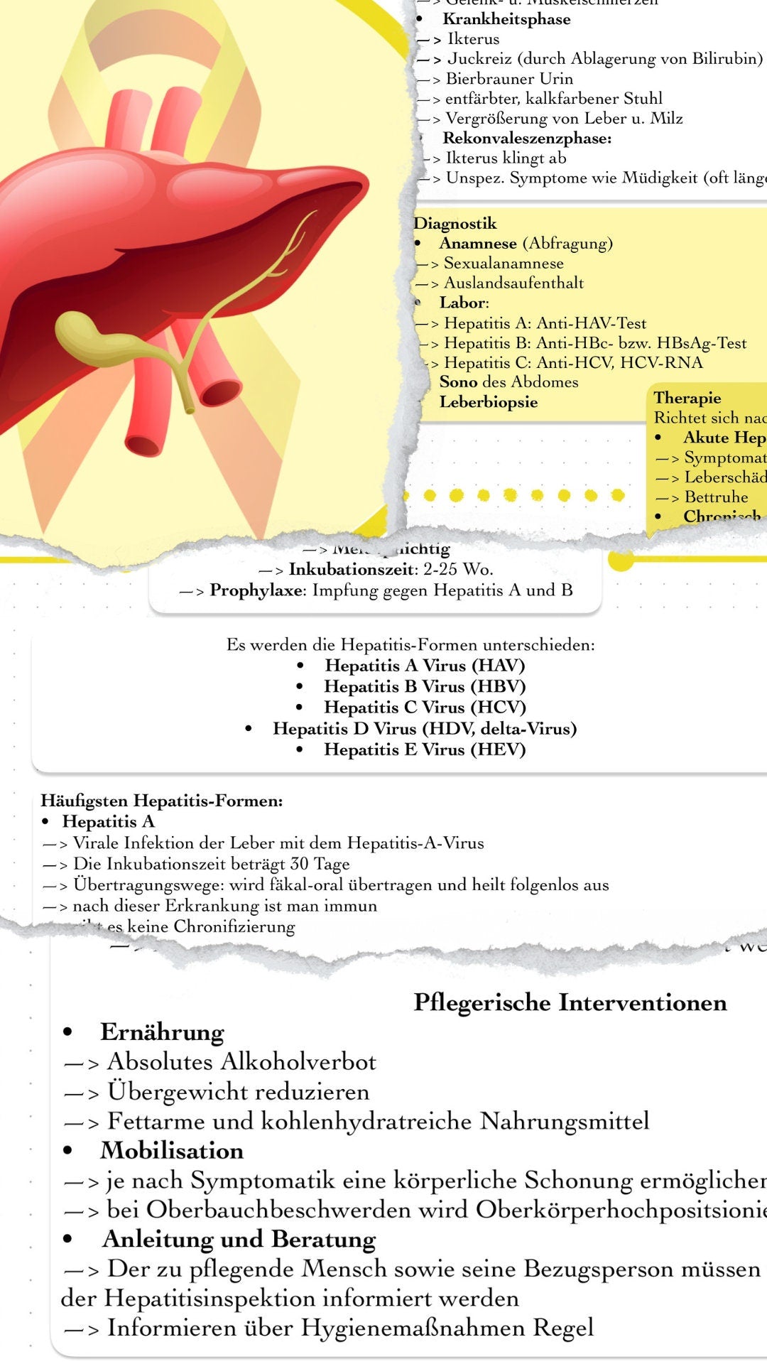 Digitaler Lernzettel - Hepatitis