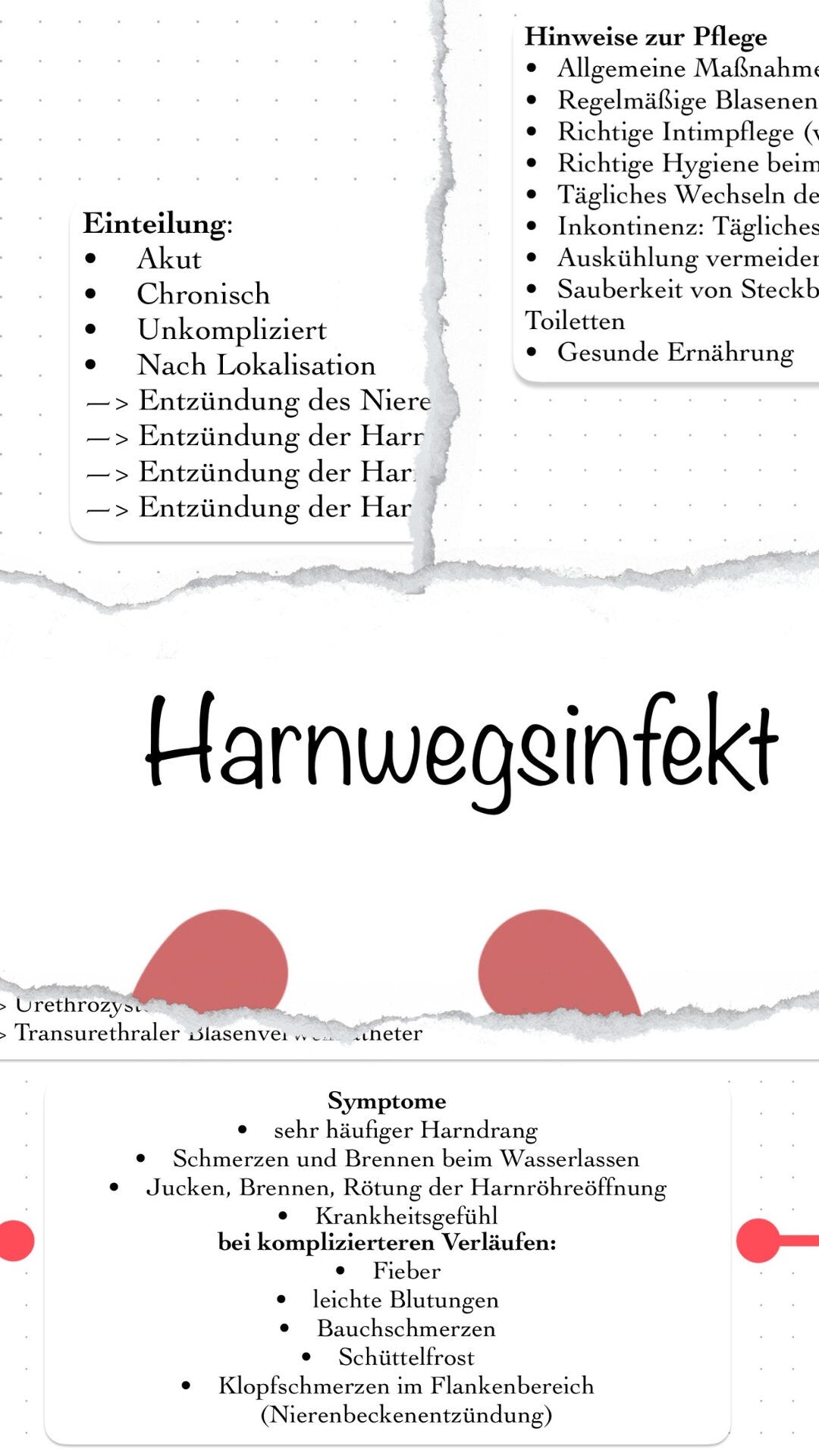 Digitaler Lernzettel - Harnwegsinfekt