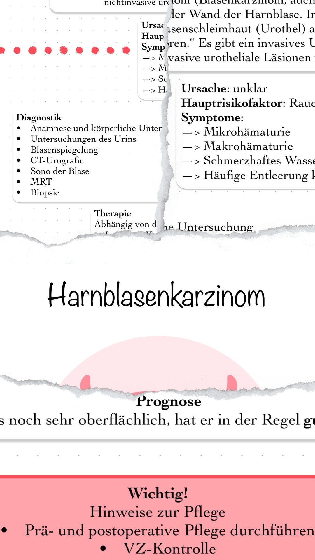 Digitaler Lernzettel - Harnblasenkarzinom