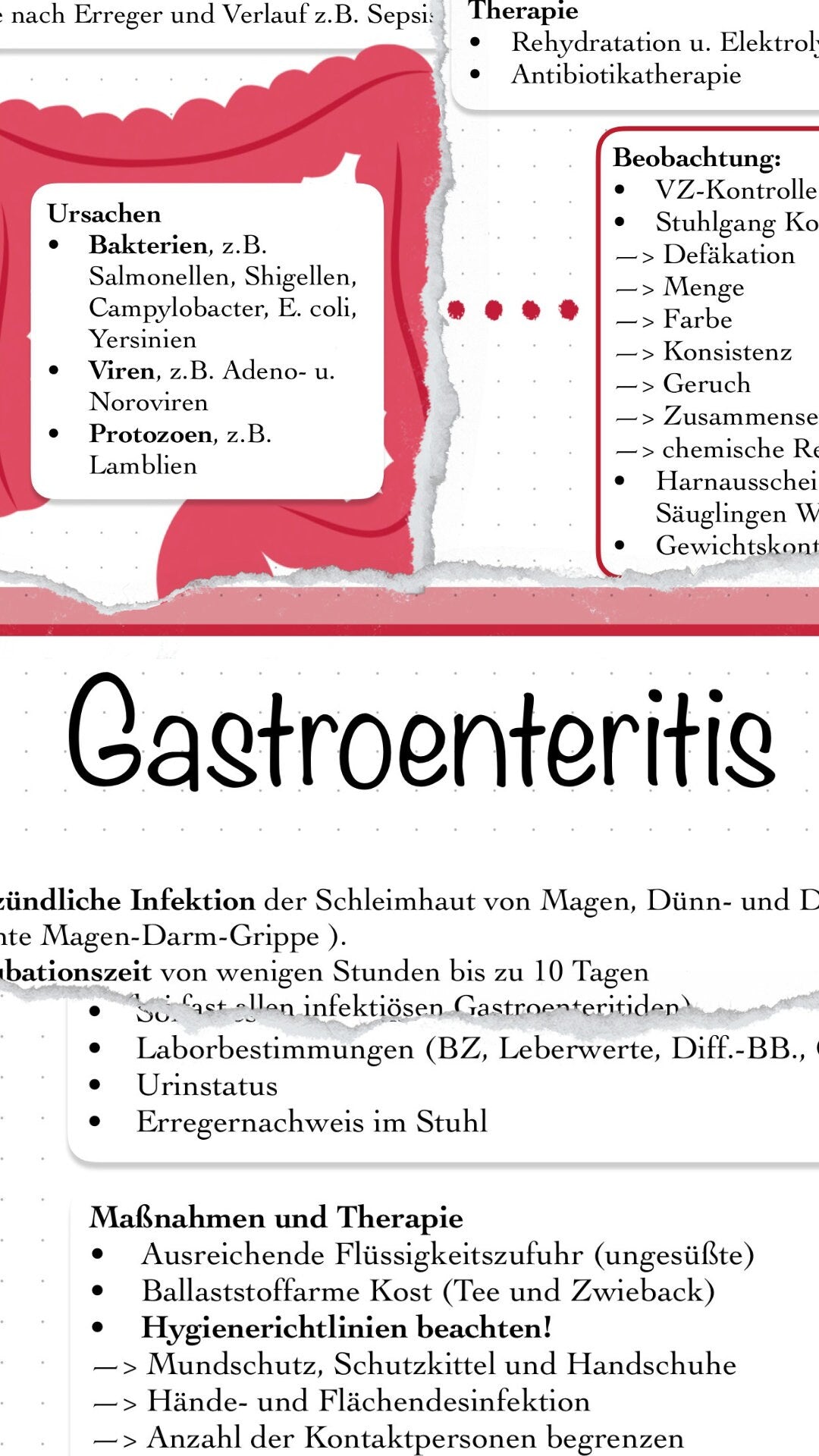 Digitaler Lernzettel - Gastroenteritis