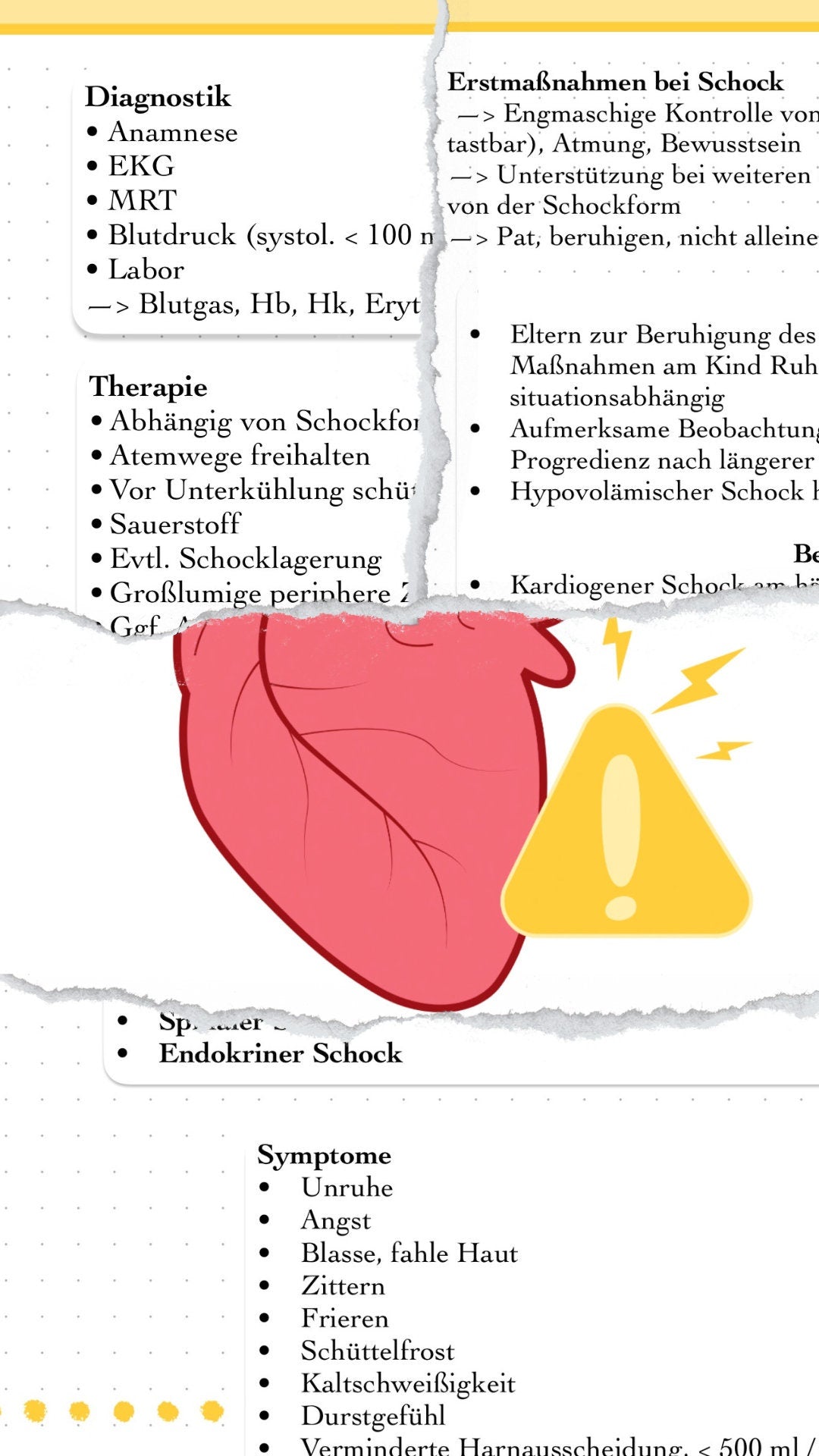 Digitales Bundle - Herz, Herzinfarkt, KHK, Schock, Herzinsuffizienz und Herz-Kreislauf-Stillstand.