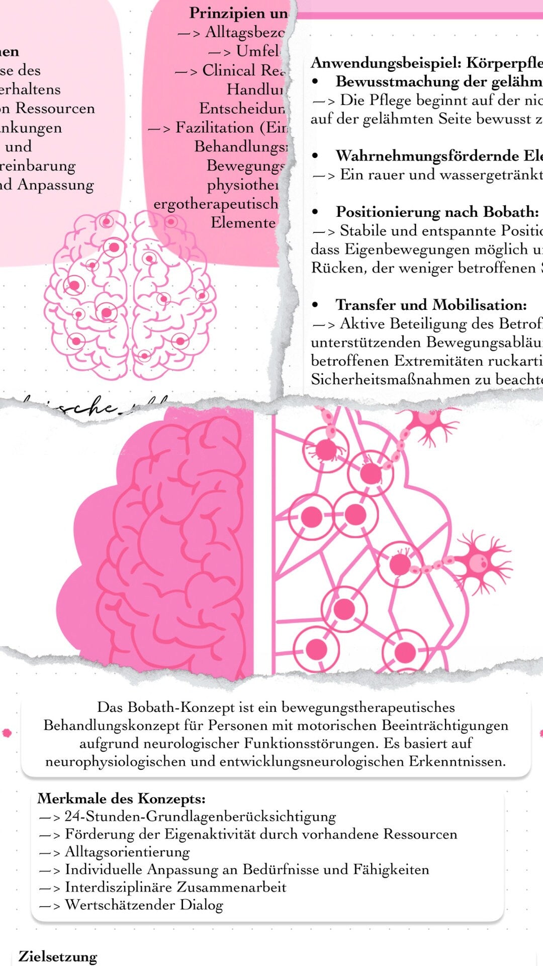 Digitaler Lernzettel - Bobath-Konzept